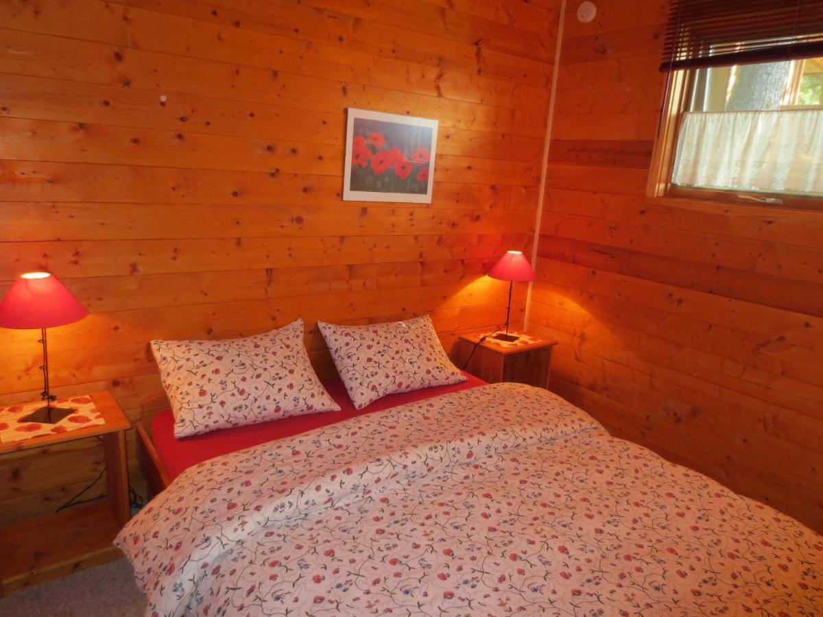 Blaeberry Mountain Lodge Голден Номер фото